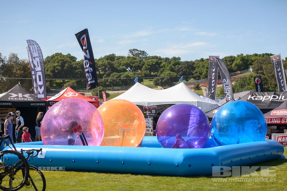 Sea Otter 2014