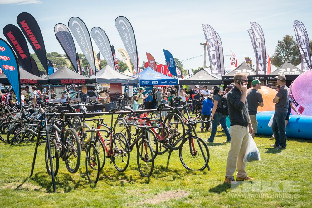 Sea Otter 2014