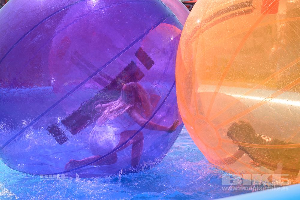 Sea Otter 2014