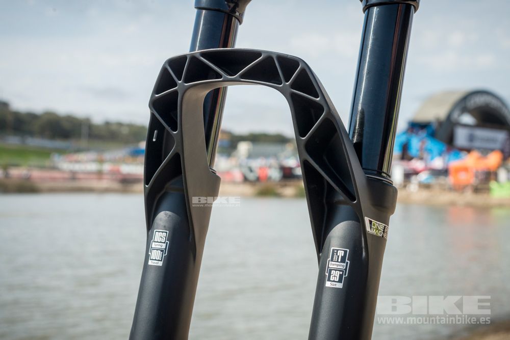 Sea Otter 2014