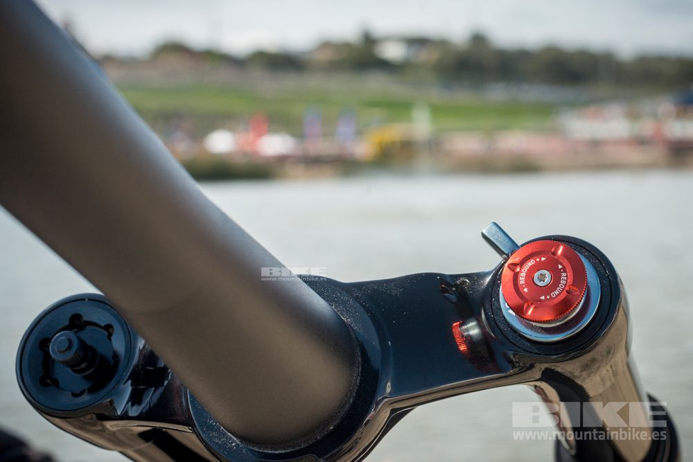 Sea Otter 2014