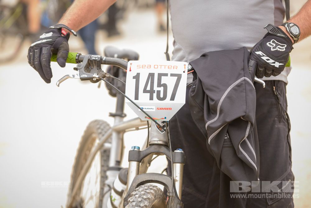Sea Otter 2014