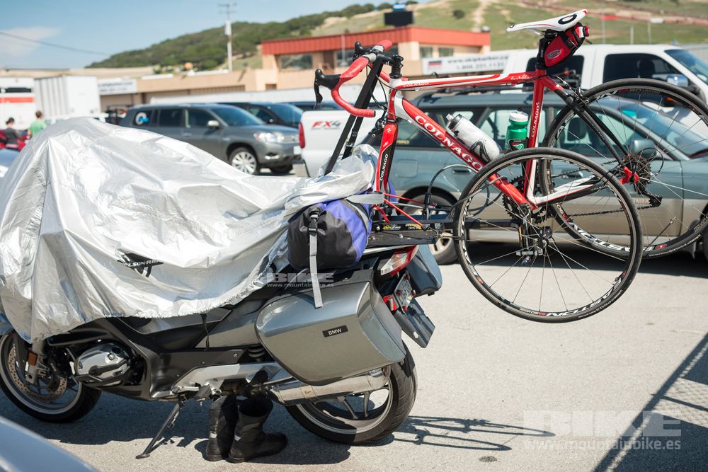 Sea Otter 2014