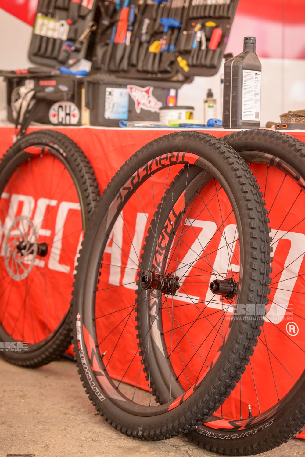 Sea Otter 2014