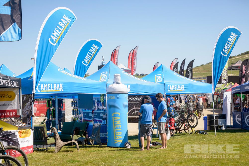Sea Otter 2014