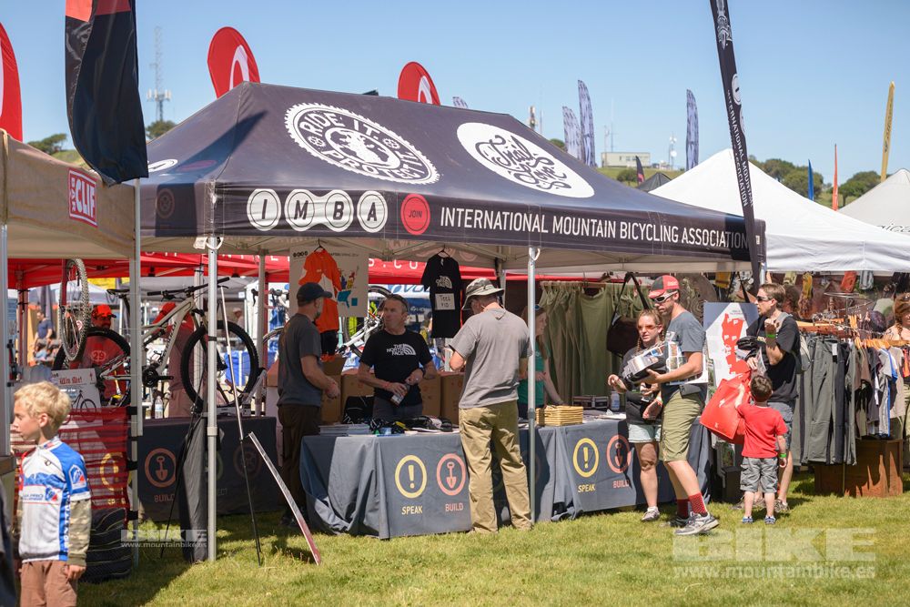 Sea Otter 2014