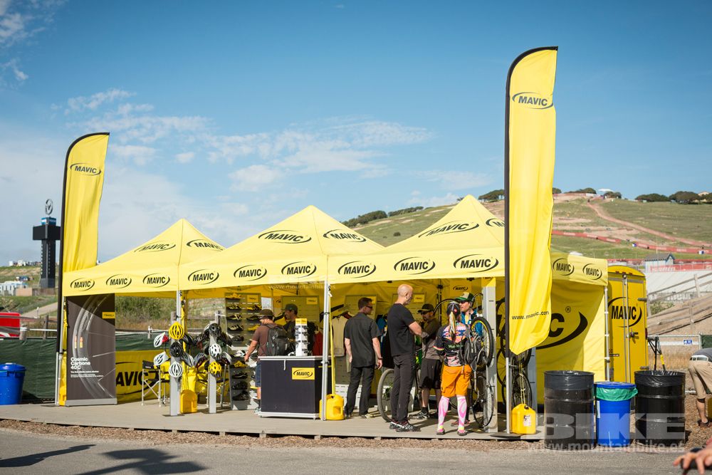 Sea Otter 2014