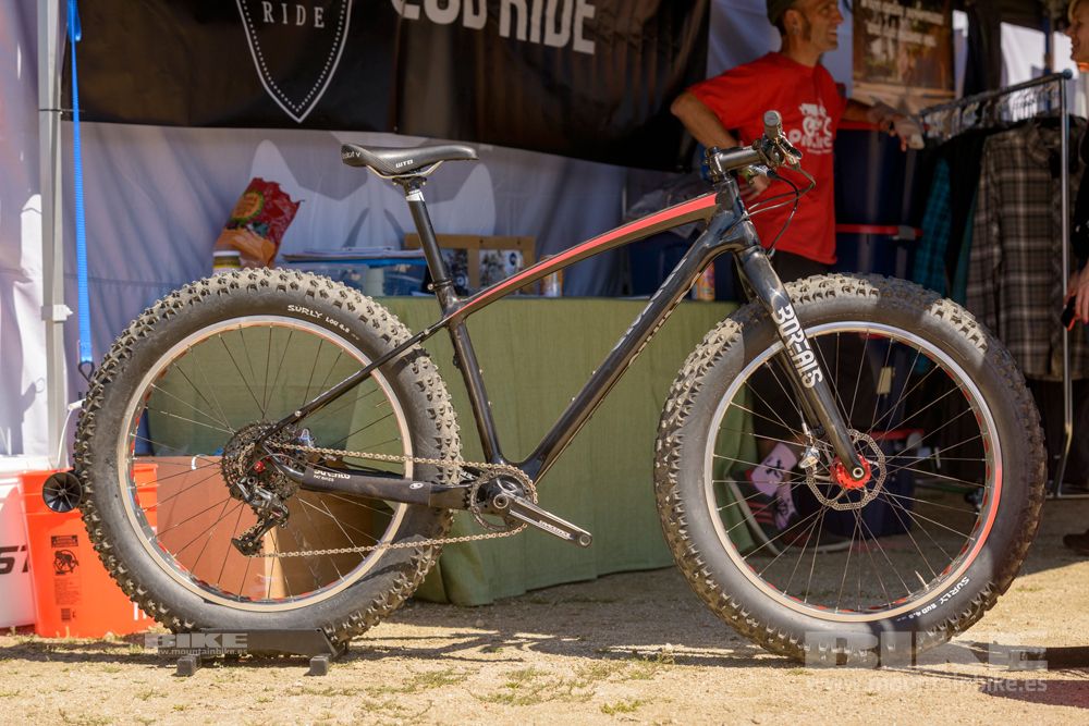 Sea Otter 2014