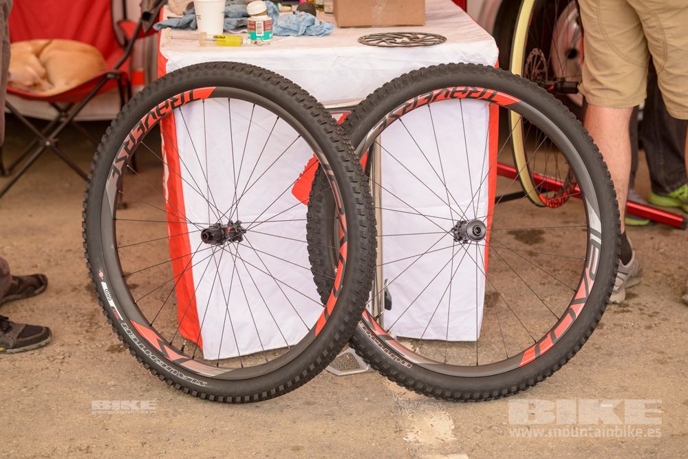 Sea Otter 2014