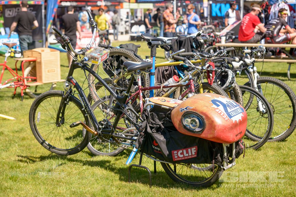 Sea Otter 2014