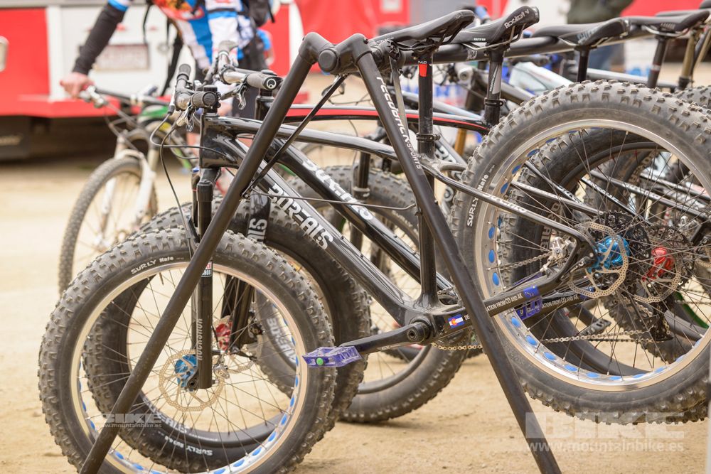 Sea Otter 2014