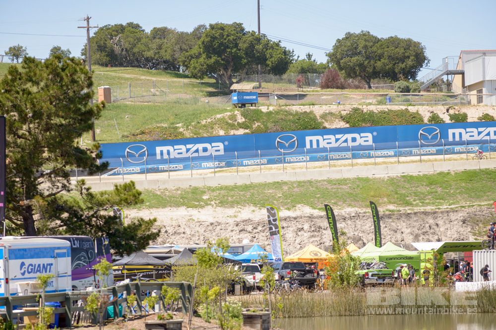 Sea Otter 2014