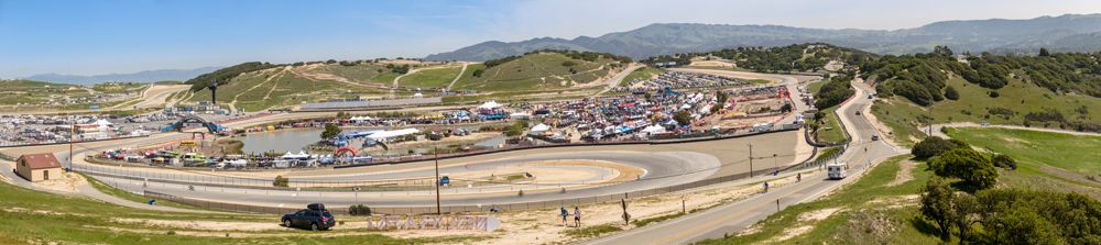 Sea Otter 2014