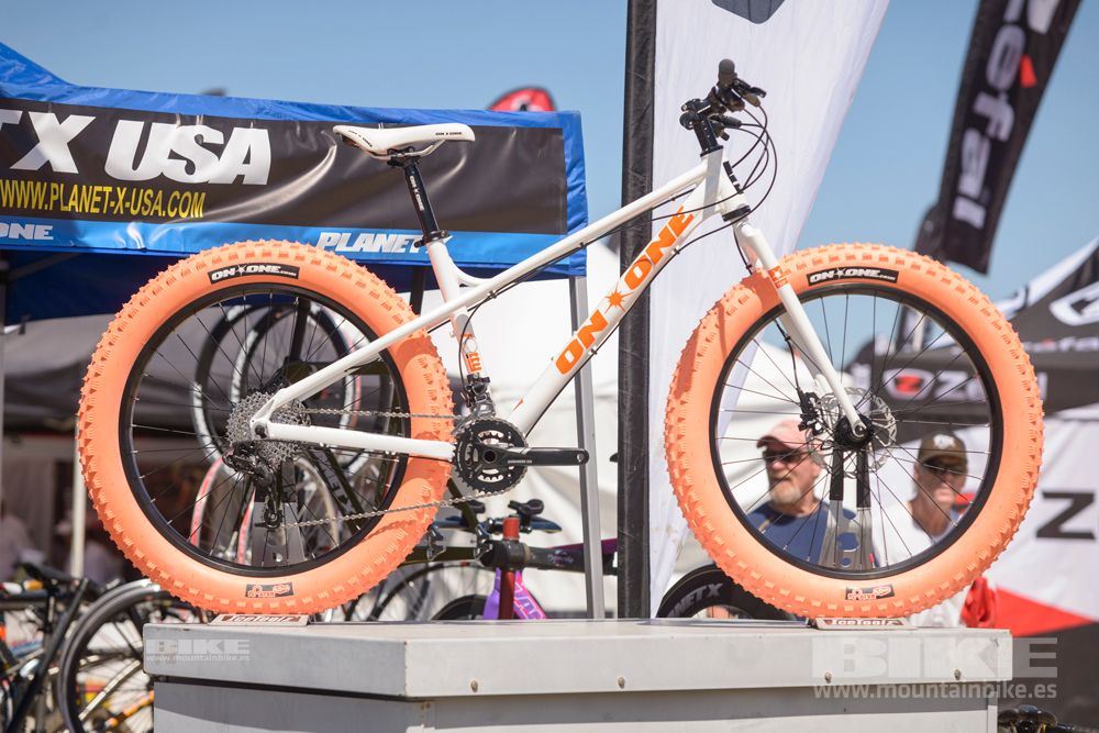 Sea Otter 2014