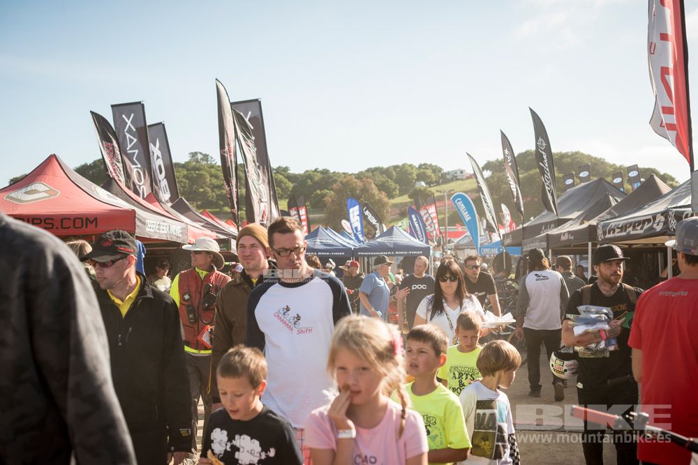 Sea Otter 2014