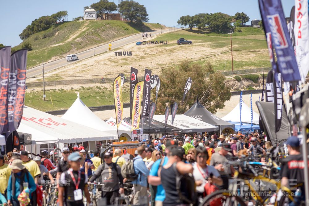 Sea Otter 2014