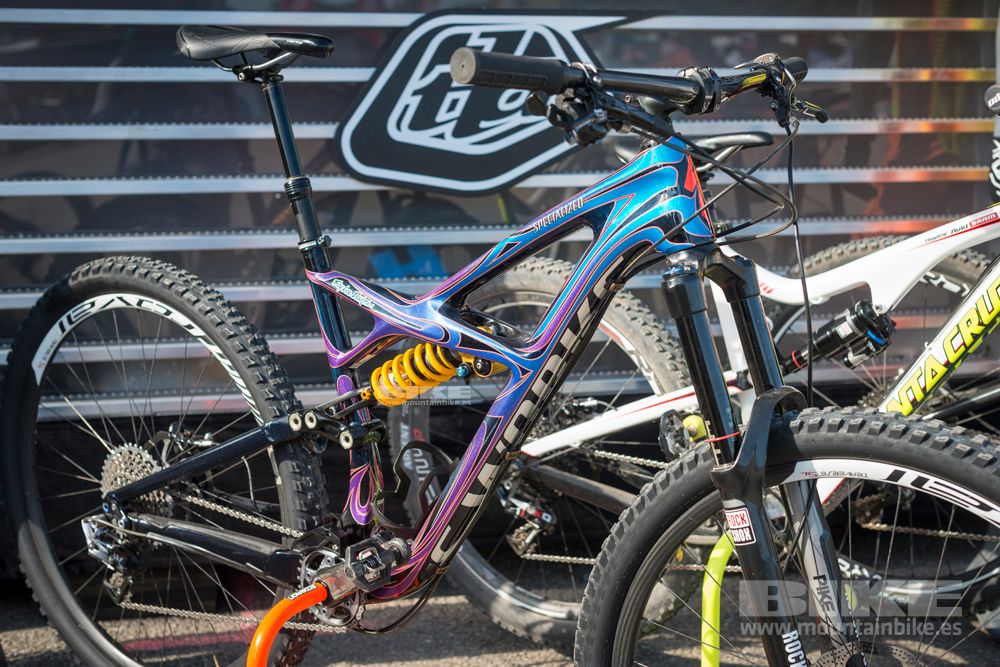 Sea Otter 2014