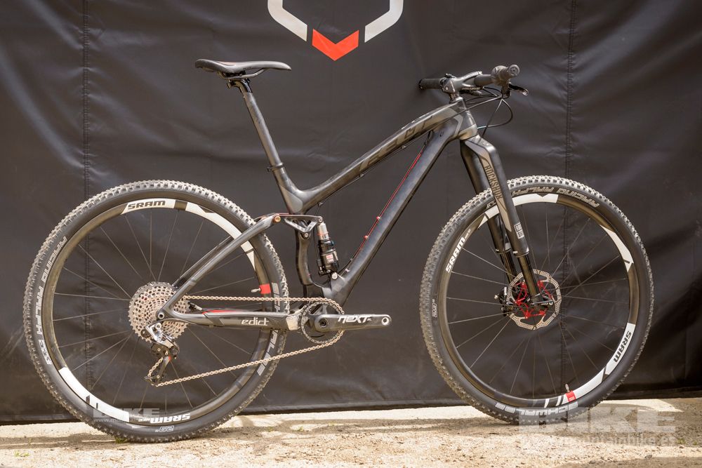 Sea Otter 2014