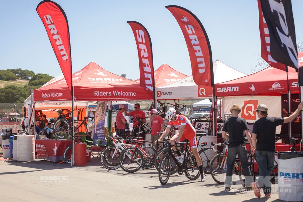 Sea Otter 2014