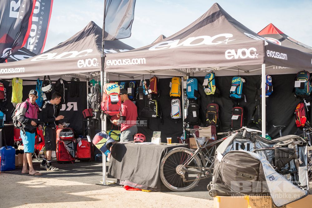 Sea Otter 2014