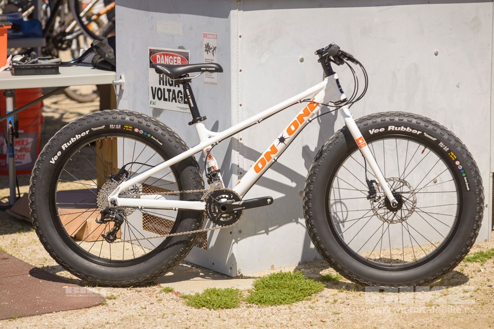 Sea Otter 2014
