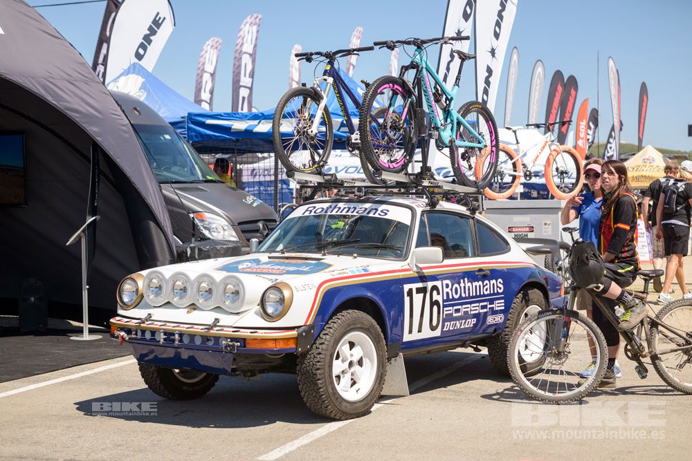 Sea Otter 2014