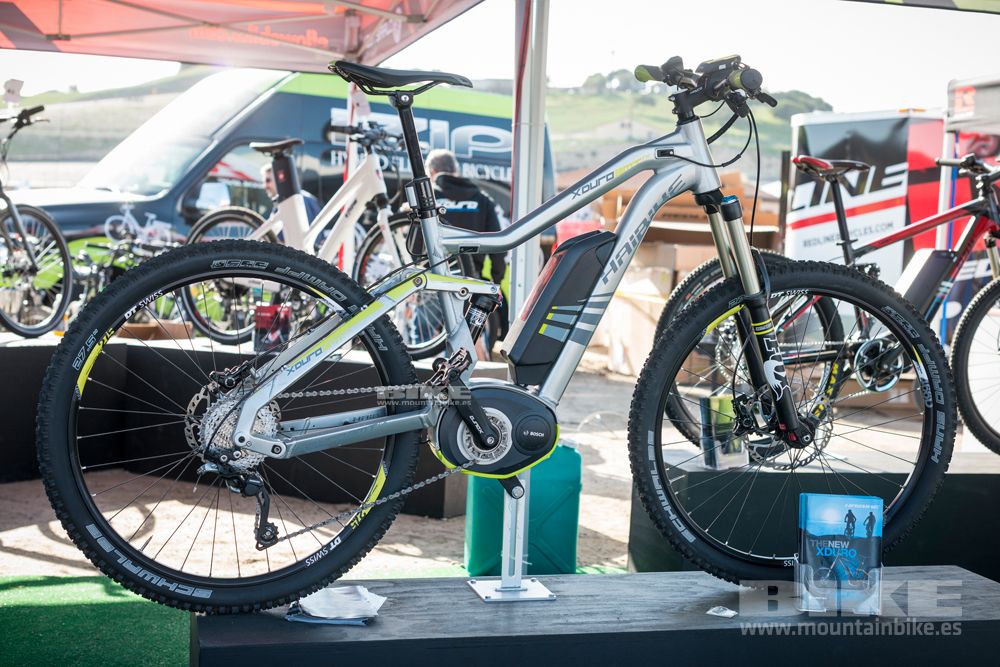 Sea Otter 2014