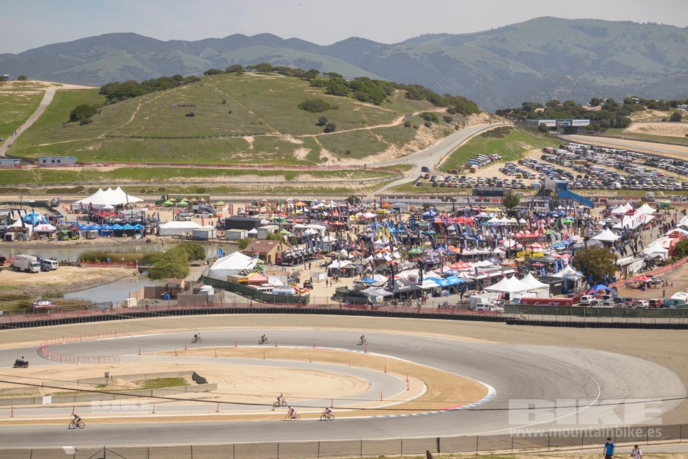 Sea Otter 2014