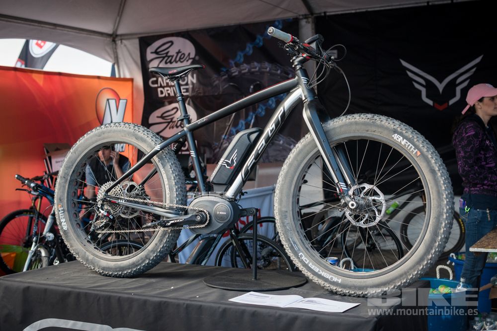 Sea Otter 2014