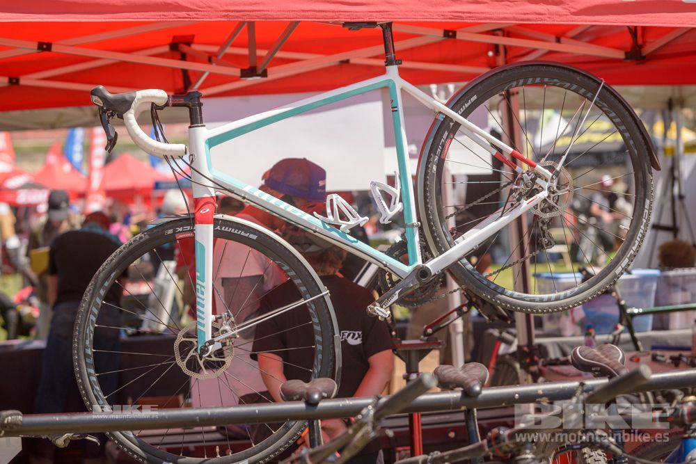 Sea Otter 2014