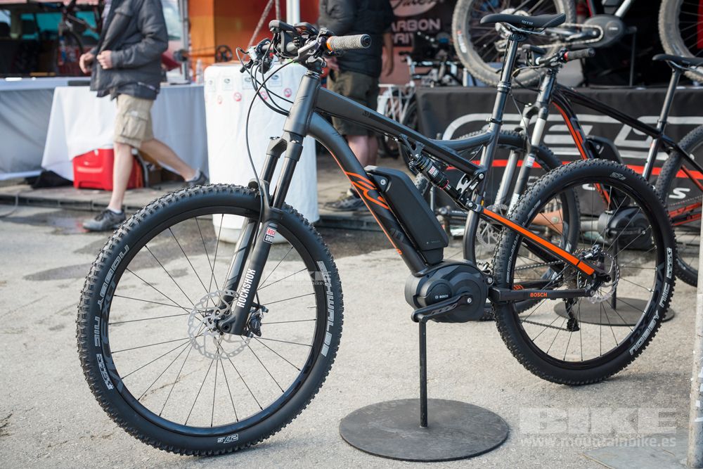Sea Otter 2014
