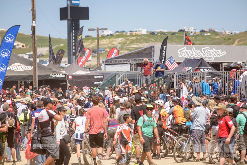 Sea Otter 2014