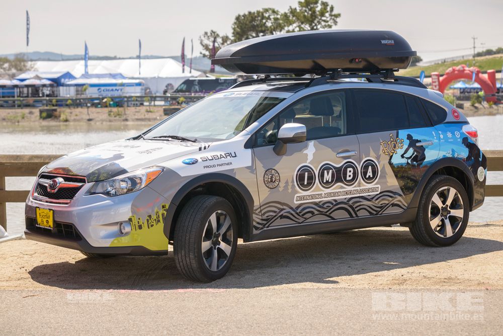 Sea Otter 2014