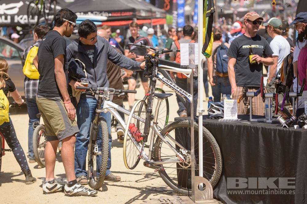 Sea Otter 2014