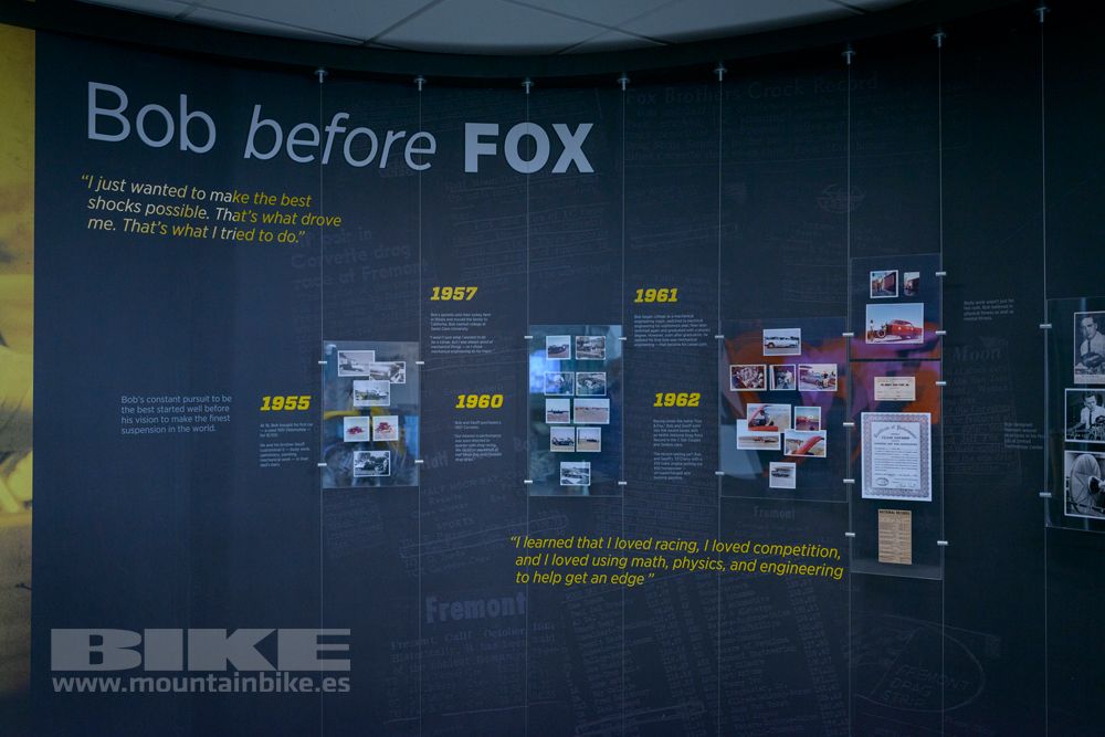 Museo Fox