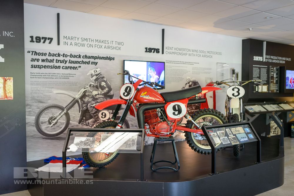 Museo Fox
