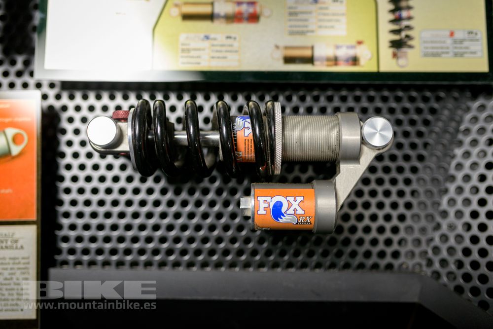 Museo Fox