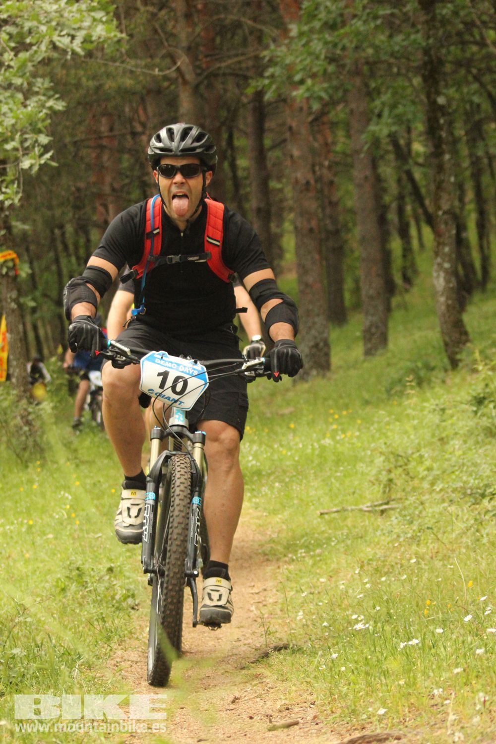 Galeria Demo Domingo Test The Best 2014