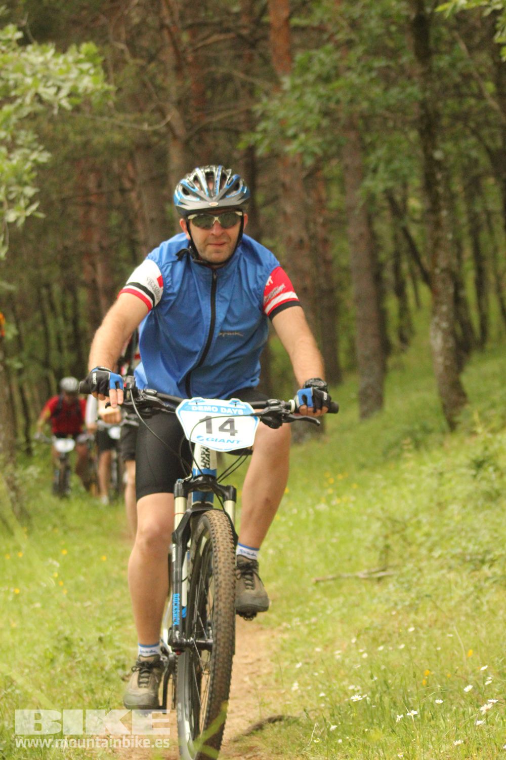 Galeria Demo Domingo Test The Best 2014