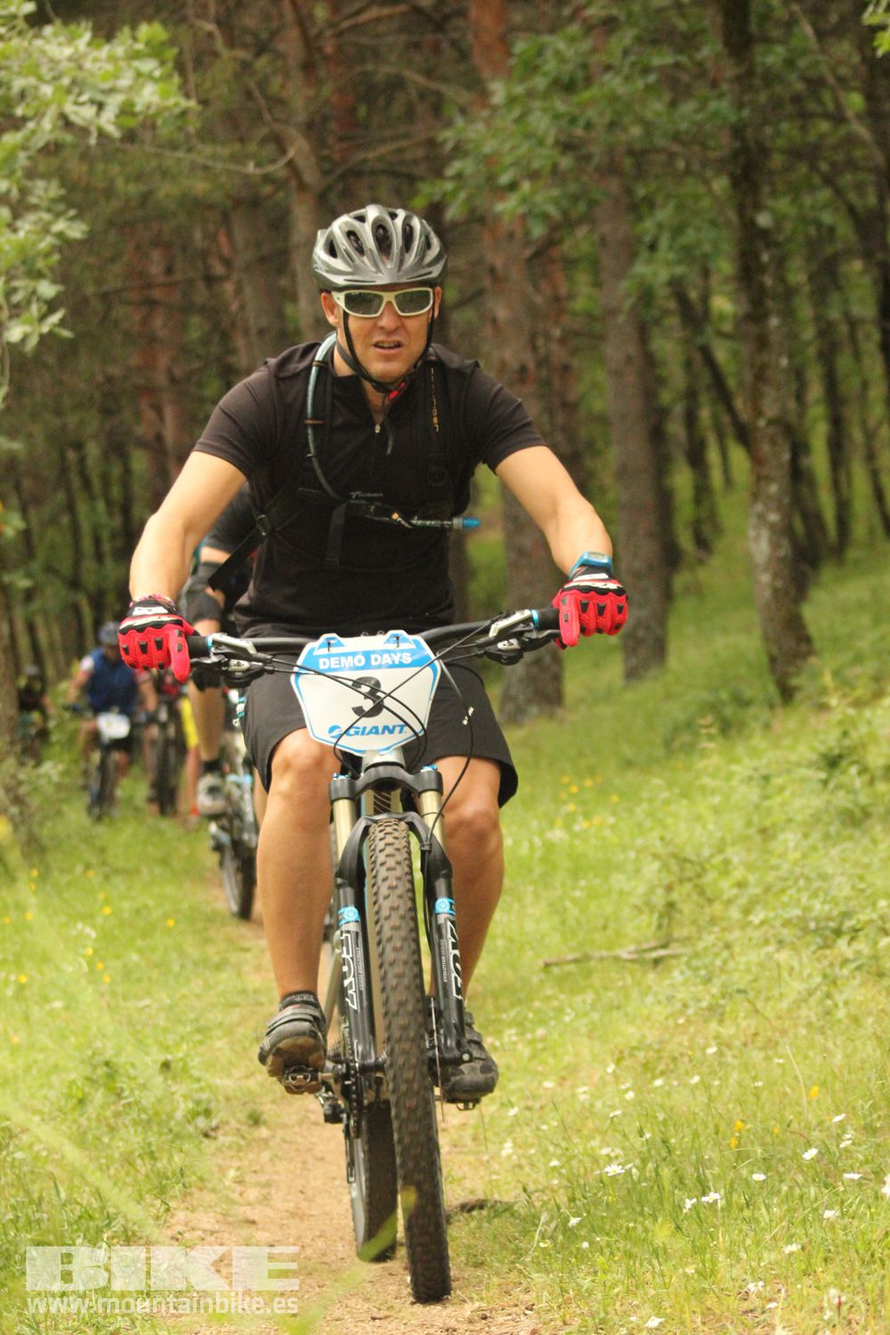 Galeria Demo Domingo Test The Best 2014