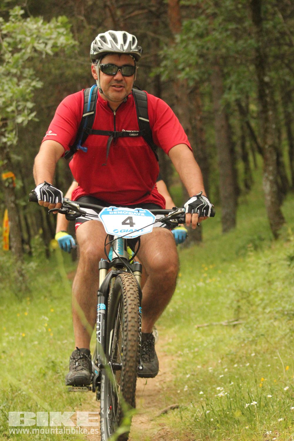 Galeria Demo Domingo Test The Best 2014