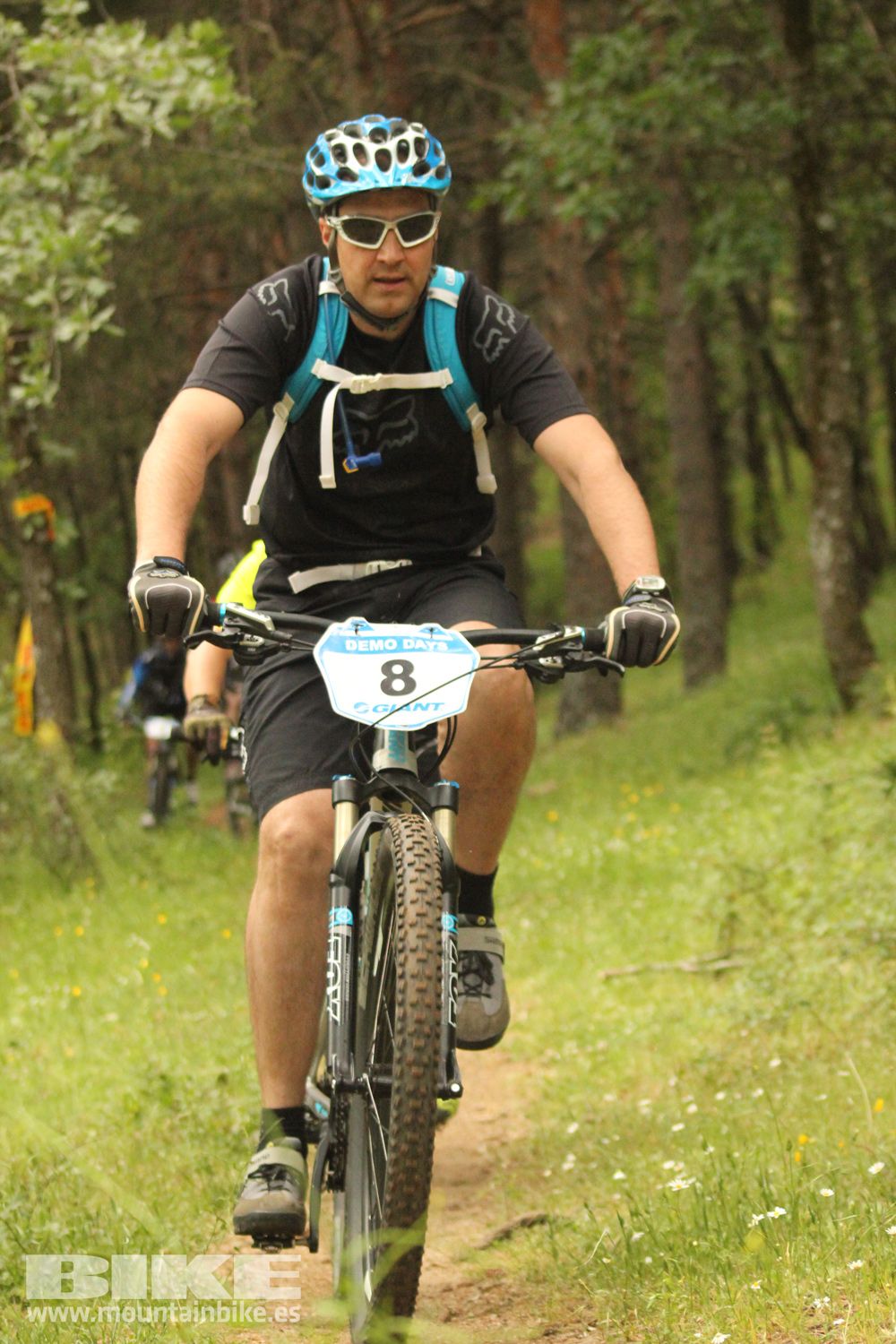 Galeria Demo Domingo Test The Best 2014