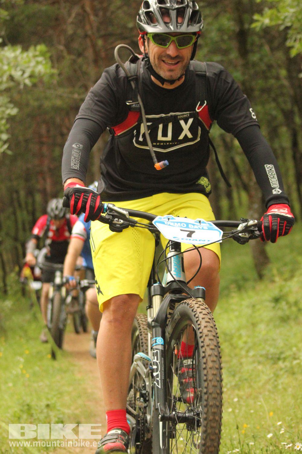 Galeria Demo Domingo Test The Best 2014