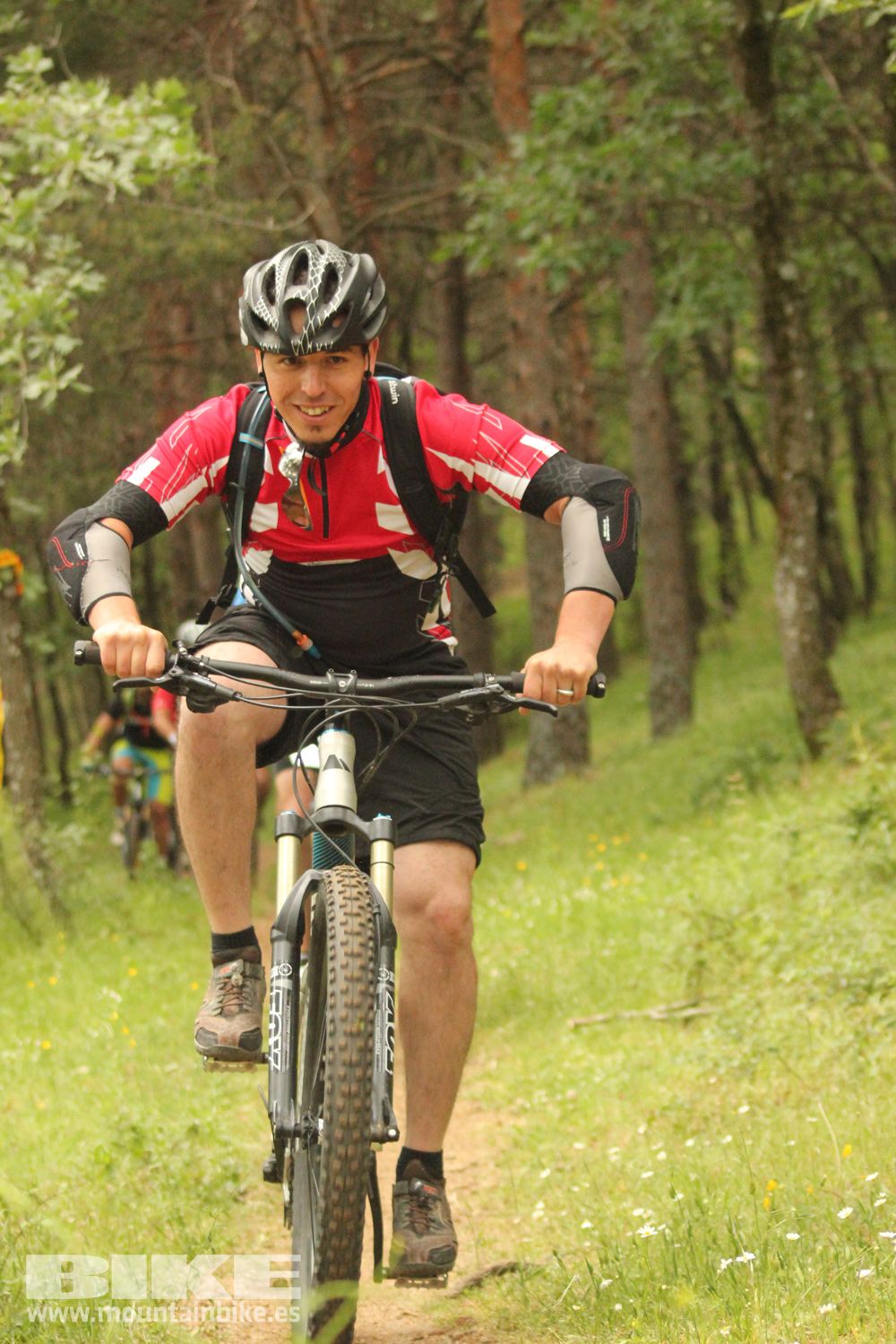 Galeria Demo Domingo Test The Best 2014