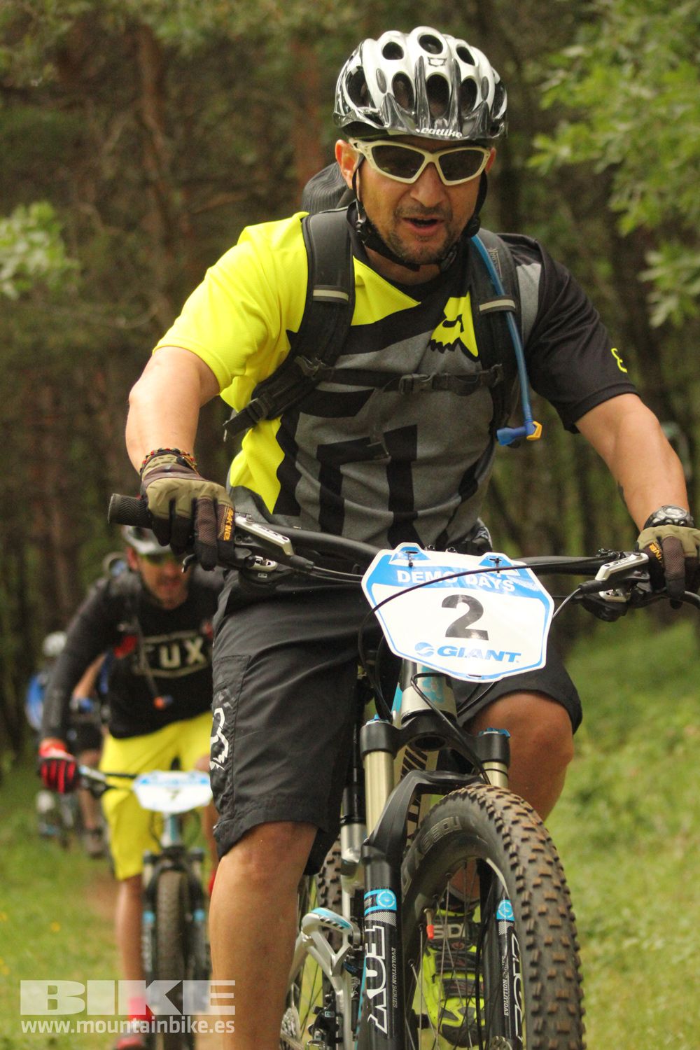 Galeria Demo Domingo Test The Best 2014