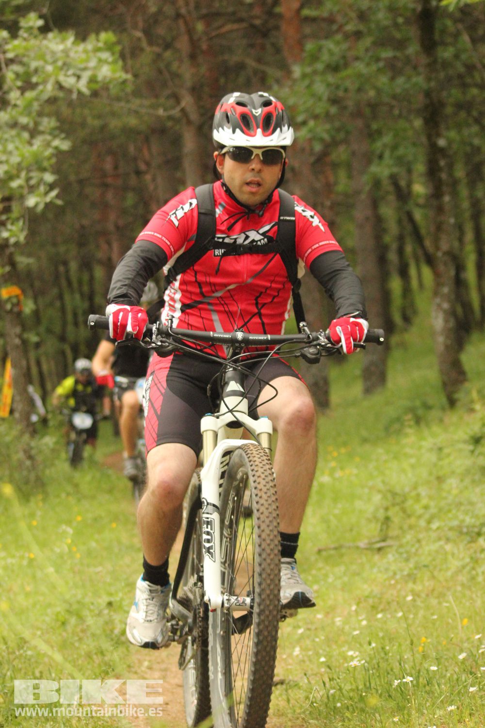 Galeria Demo Domingo Test The Best 2014