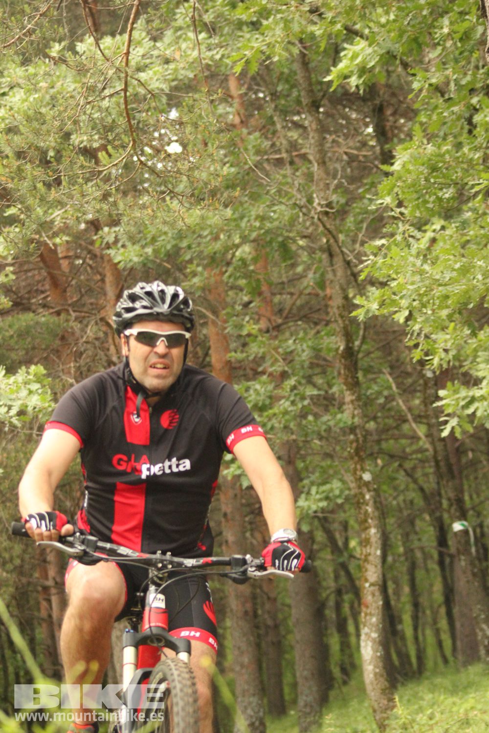 Galeria Demo Domingo Test The Best 2014