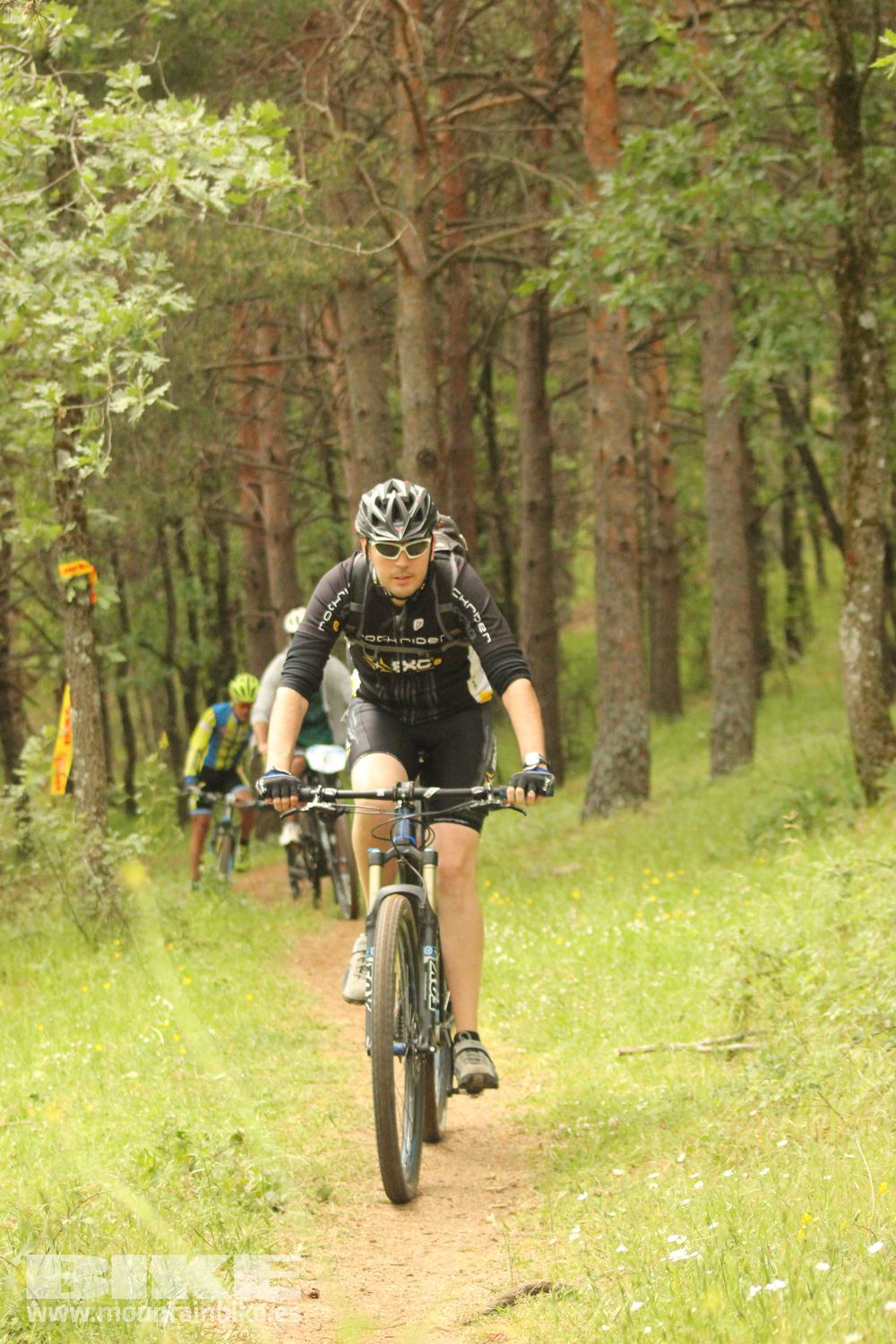 Galeria Demo Domingo Test The Best 2014