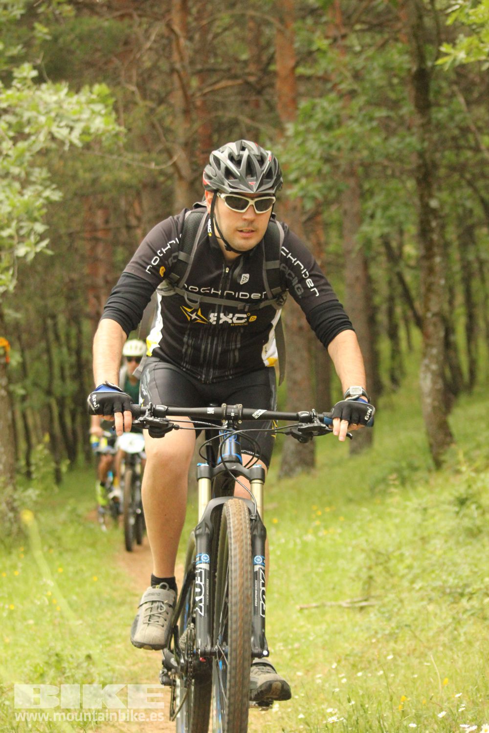 Galeria Demo Domingo Test The Best 2014