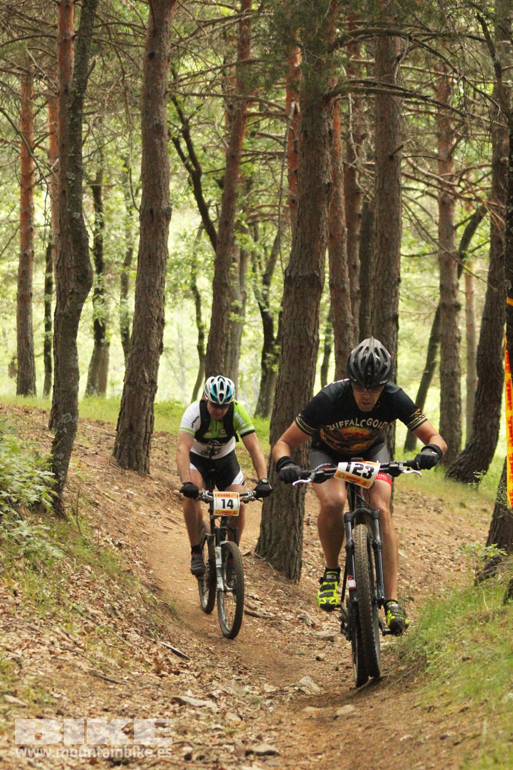 Galería Maratón Test The Best 2014-1